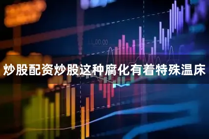 炒股配资炒股这种腐化有着特殊温床