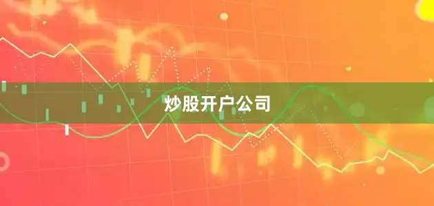 炒股开户公司