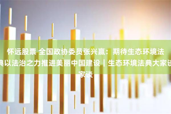 怀远股票 全国政协委员张兴赢：期待生态环境法典以法治之力推进美丽中国建设｜生态环境法典大家谈