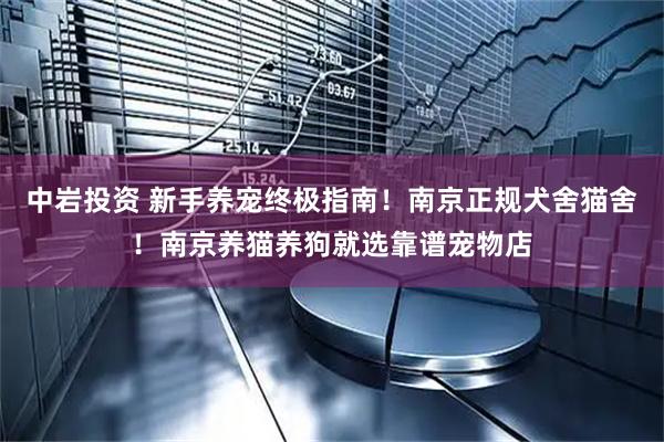 中岩投资 新手养宠终极指南！南京正规犬舍猫舍！南京养猫养狗就选靠谱宠物店