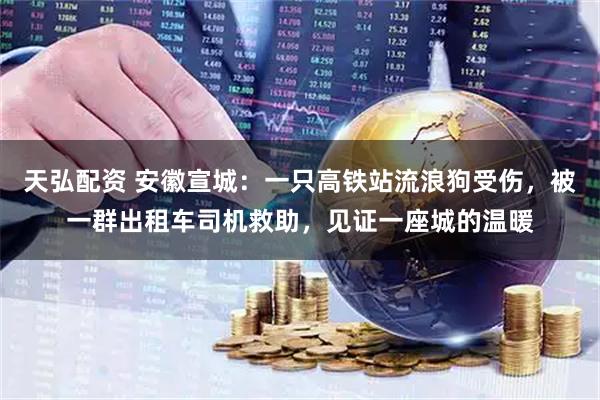 天弘配资 安徽宣城：一只高铁站流浪狗受伤，被一群出租车司机救助，见证一座城的温暖